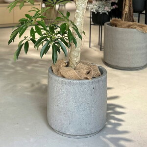 D&M(fB[AhG) ^t|bg U37 10 Jo[  |bg t[|bg |bg Jo[ Eh ی^ ꌊ  v^[ CeA RN[g  A ϗtA 