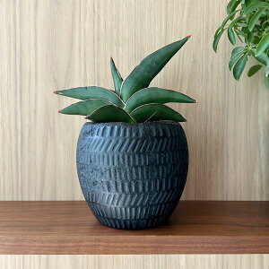 SERAX(ZbNX) ubNGVFg|bg 13 3 Jo[ |bg v^[Jo[ t[|bg y ꌊȂ 11.5cm ی^ ϗtA   CO k  Vv i`
