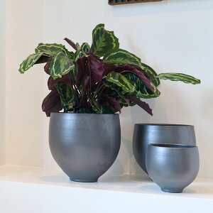 D&M(fB[AhG) ^|bg ubN U30 8 Jo[ |bg v^[Jo[ t[|bg Z~bN ꌊȂ 27.5cm ی^ ϗtA   CO k  Vv i