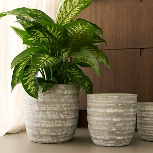 D&M(fB[AhG) gCo|bg O[ U30 9 Jo[ |bg v^[Jo[ t[|bg Zg ꌊȂ 30cm ی^ ϗtA   CO k  Vv i