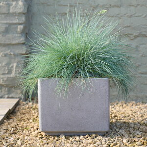 D&M(fB[AhG) ^t|bg XNGA D37 10 ^ Jo[ |bg v^[Jo[ t[|bg t@Co[Xg[ ꌊ 37cm×37cm×35cm lp p^ ϗtA   O 