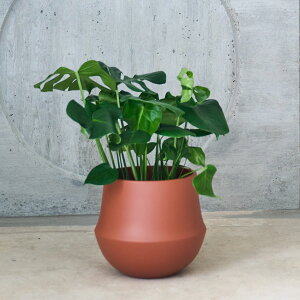D&M(fB[AhG) t[W|bg U32 Xg/zCg/uE/ubN 8 Jo[ |bg v^[Jo[ t[|bg Z~bN ꌊȂ 31cm  F  ی^ ϗtA