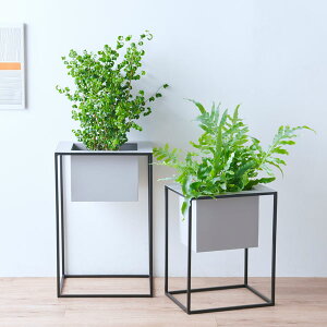 CLOVER(N[o[) v^[IX^h O[ubN 6 ^ Jo[ |bg v^[X^h t[X^h X^h ACA 40cm×30cm×50cm  lp p^ ϗtA  
