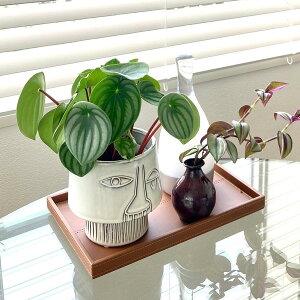 yԌ10%OFFz Bloomingville(u[~OB) tFCXt[|bg 15 5 Jo[  k A  |bg t[|bg tFCX|bg tFCX  Z~bN  |b