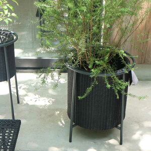 y11/20 20`Ԍ|Cg5{z PATIO PETITE(peBIveB) MAV[Y }V[Y MA-v^[ 12  ubN Jo[  v^[Jo[ ^ oXPbg X^ht