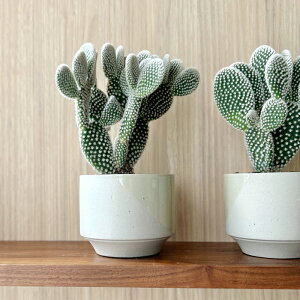 D&M(fB[AhG) ^Ch|bg U14.5 N[ 4 Jo[  |bg t[|bg |bg Jo[ ~ ꌊȂ  v^[ CeA