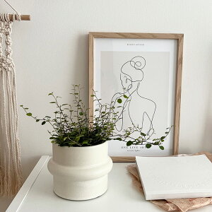 D&M(fB[AhG) MY|bg U23 zCg 5 6 Jo[ |bg v^[Jo[ t[|bg ꌊȂ  H16.5cm ی^ ϗtA   k CO  Vv A