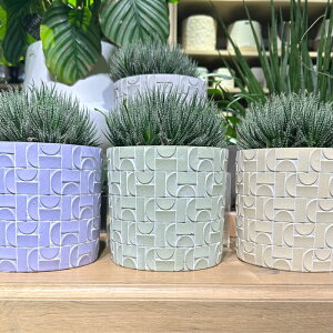 D&M(fB[AhG) gbN|bg U15 O[/CgO[/R[/CG[/O[/x_[ 4 Jo[  |bg t[|bg Eh|bg Jo[ ꌊȂ 