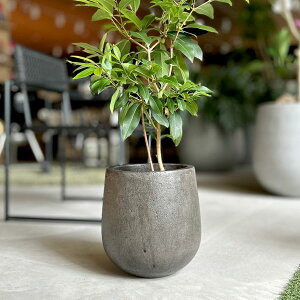 D&M(fB[AhG) JWA|bg U38 CgO[/ubN 9 ^ Jo[ |bg v^[Jo[ t[|bg t@Co[Xg[ ꌊ 42.5cm  ی^ ϗtA  