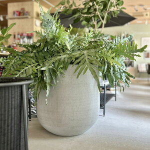 D&M(fB[AhG) JWA|bg U65 CgO[/ubN 16 ^ Jo[ |bg v^[Jo[ t[|bg t@Co[Xg[ ꌊ 42.5cm  ی^ ϗtA 