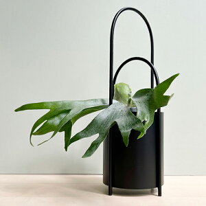 yԌ10%OFFz CLOVER(N[o[) ACAv^[ EBYnh U17.5 5 Jo[ |bg v^[X^h t[X^h X^h ACA 34cm×17cm×23cm ی^ ubN 