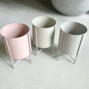 CLOVER(N[o[) ACAv^[EBYX^h U19 O[/O[/sN 4 5 ^ Jo[ |bg v^[X^h t[X^h X^h ACA S 28cm ی^ ꌊ