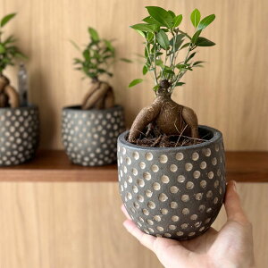 Affari(At@) hbg|bg U11 3 Jo[ |bg v^[Jo[ t[|bg ꌊȂ RN[g ubN  H10cm ی^ ϗtA   k CO  Vv f