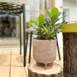 yԌ30%OFFz Affari(At@) t@bW|bg U14 4 Jo[ |bg v^[Jo[ t[|bg ꌊȂ RN[g uE F H16cm ی^ ϗtA   k CO