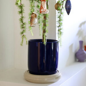 &Klevering(AhNx) `X|bg U24.5 u[ 8Jo[ |bg v^[Jo[ t[|bg \[T[ v[g 󂯎M Zbg ꌊ Zb H25cm ی^ ϗtA  