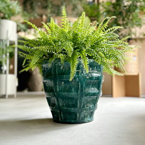 SERAX(ZbNX) Obh|bg 27 6 7 Jo[ |bg v^[Jo[ t[|bg ꌊȂ y H24cm ی^ ϗtA   k CO  Vv A[g JtF i