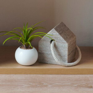 CLOVER(N[o[) }[uXgbp[ x[W W10.5×H12.5