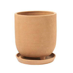 CLOVER(N[o[) eRb^v^[EBY\[T[ 17.5 i`/ubN/zCg 5 ꌊ Jo[ v^[Jo[ |bg ϗtA  