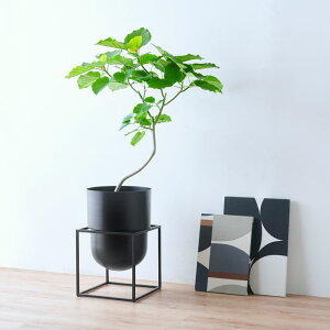 CLOVER(N[o[) A~v^[ EBYXNGAX^h H56