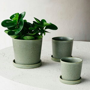 D&M(fB[AhG) sI|bg 10 2 J[L/VNJo[  |bg t[|bg Eh|bg Jo[ ꌊȂ  Zg v^[  A ϗtA