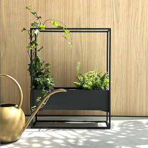 CLOVER(N[o[) XNGAt[v^[ H40 Jo[ v^[Jo[ |bg ϗtA  