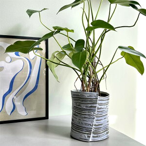 Bloomingville(u[~OB) Af|bg 18 3 4 Jo[ |bg v^[Jo[ t[|bg ꌊȂ Zb H19.5cm ی^ ϗtA   k CO  A[g A