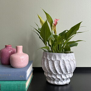 Bloomingville(u[~OB) J~|bg 13.5 3 4 Jo[ |bg v^[Jo[ t[|bg ꌊȂ zCg Zb H11.5cm ی^ ϗtA   k CO  