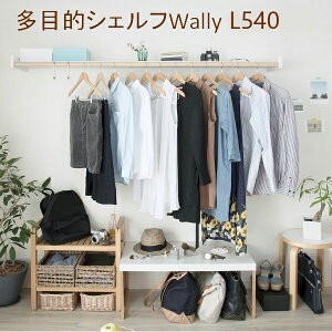 XcA~H ړIVFt WALLY(EH[[) L540 ~NzCg(W)/o[`(WB)