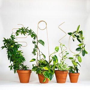 botanopia({^msA) Ap S[f WOUO/A[`/NlNl/s 1AT|[g |x Ap Y U x x |  O  oRj[ x_ A~x 