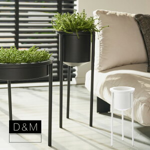 yԌ40%OFFz D&M(fB[AhG) [t vgX^h ubN/zCg L30×W30×H70cm 10 Jo[  |bg X^h ACA S ACAX^h  v^[ A