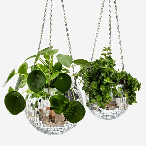 L'expressionist(GNXvbVjXg) fBXR{[ nMOu^[ 17/21.5