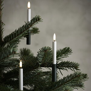 Piffany Copenhagen(st@j[ Ryn[Q) LEDLh Nbv Rt 9{Zbg