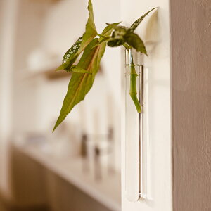 Walleaf(EH[[t) EH[x[X }Olbgt 1