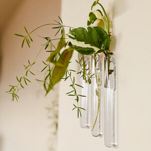 Walleaf(EH[[t) EH[x[X }Olbgt 3Zbg