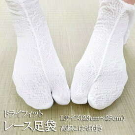 足袋 Wレース ストレッチ足袋 白 丈夫な東レ 日本縫製 Lサイズ (5frc)