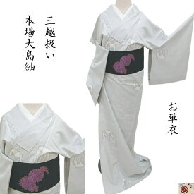 単衣 白本場大島紬 雪輪に揚羽蝶 「三越お取り扱い」カジュアル着物 御仕立上り(3515)