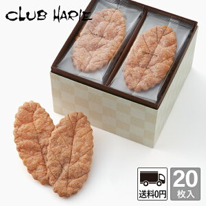 y NunGz[tpC 20 mَq َq Mtg   Ε ̓ ̓ hV̓ pC ĉَq CLUBHARIE