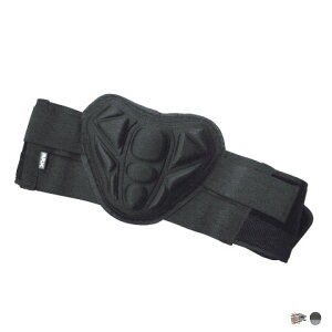 スノーボード スキー プロテクター ARK エーアールケー WING WAIST SUPPORT 腰 腰サポーター ウエストサポーター スノボ スキー メンズ レディース 強度 安全 日本正規品