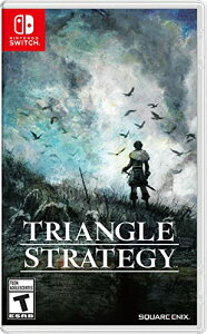 yN[|zzz TRIANGLE STRATEGY (A:k) ? Switch