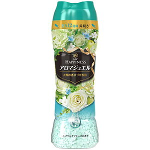 yN[|zzz mA nslX A}WG r[Y ߗނ̍Âp Ghu[Y { 520mL