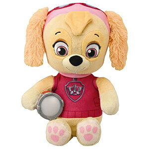 yN[|zzz pEEpg[ ɂ₷݁I ׂXJC