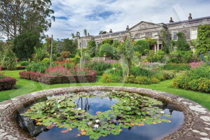 yN[|zzz G|bN 1000s[X WO\[pY }EgX`A[g̃tH[}K[f (50×75cm) 09-027 ̂t