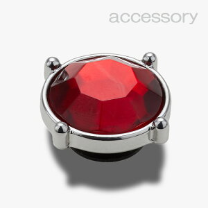 �V���[�Y �A�N�Z�T���[_1012 �s�N���b�N�X �`���[���t Ruby Gem #10012492