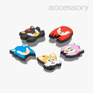 �V���[�Y �A�N�Z�T���[ �s�N���b�N�X �`���[���t Sonic The Hedge Hog 5Pck #10011472