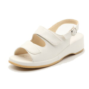 ys̓I10OFFN[|×Pő4{Iz Pansy T_ pW[ ItBXT_ ɂ i[XT_ ₷ fB[X ubN  zCg  ₷ obNo