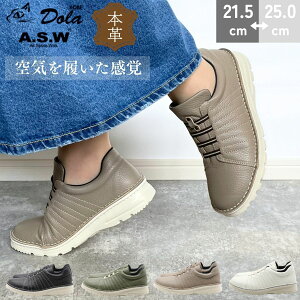 Dola h { RtH[g Xj[J[ {v JWA V[Y fB[X Xb| SR 4E L [Jbg y y EH[LO ₷ C A-OK X|[ciC 41-7280