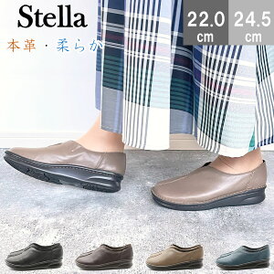 U[RtH[gV[Y tbgV[Y {v 4E ɂȂ Ȃ U[ VRv O  ̓ v[g Mtg fB[X C ̓ v[g Mtg 25-4040 Stella 