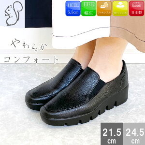 yBFIȃN[|×P2{IPő47{Iz GOTOU SANGYO 㓡Y RtH[gV[Y JWAV[Y EFbW\[ fB[X ɂȂ _炩 { C  y ̓ v[