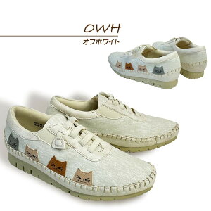 y}\Xg26HI10OFFN[|×P4{Iz SPEEDY DUCK Xs[fB[ _bNXj[J[\bNXXj[J[ R zCg\[ hJ Vv YCN 3E L ̓ v[g 