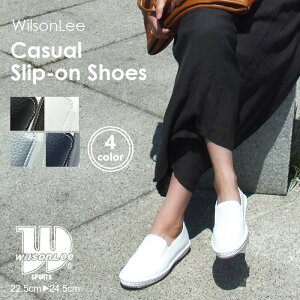 y_tf[I10OFFN[|×P3{Iz WILSON LEE EB\[ Xb|Xj[J[ [JbgXj[J[ JWAV[Y ᔽC\[ fB[X Xj[J[ KK7522